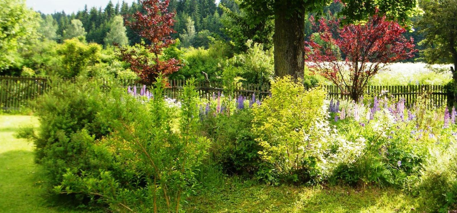 Rainmuehle Villa Mariánské Lázně Eksteriør billede