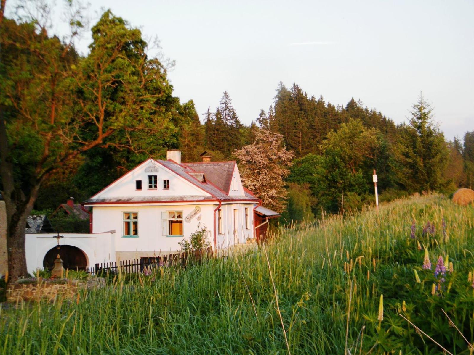 Rainmuehle Villa Mariánské Lázně Eksteriør billede