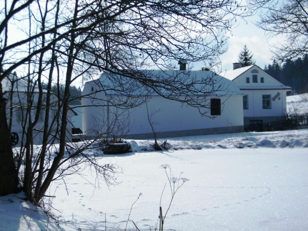 Rainmuehle Villa Mariánské Lázně Eksteriør billede