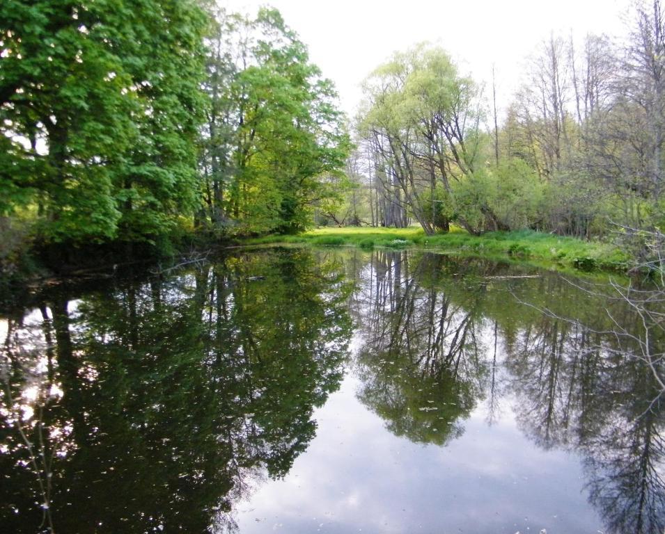 Rainmuehle Villa Mariánské Lázně Eksteriør billede
